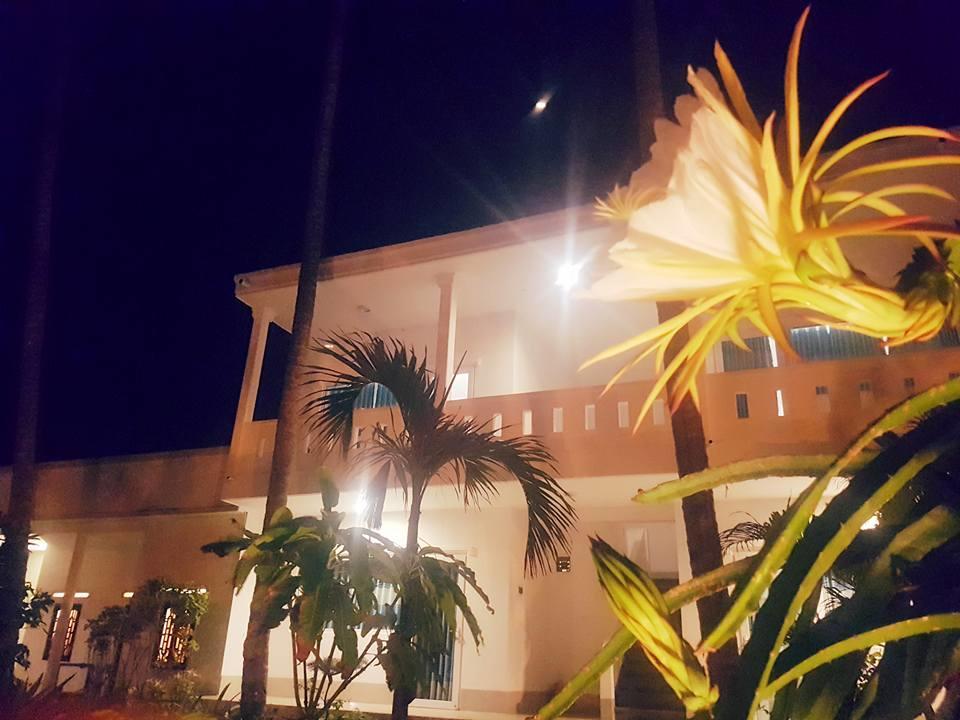 Bien Dua Backpacker Hotel Phan Thiet Kültér fotó