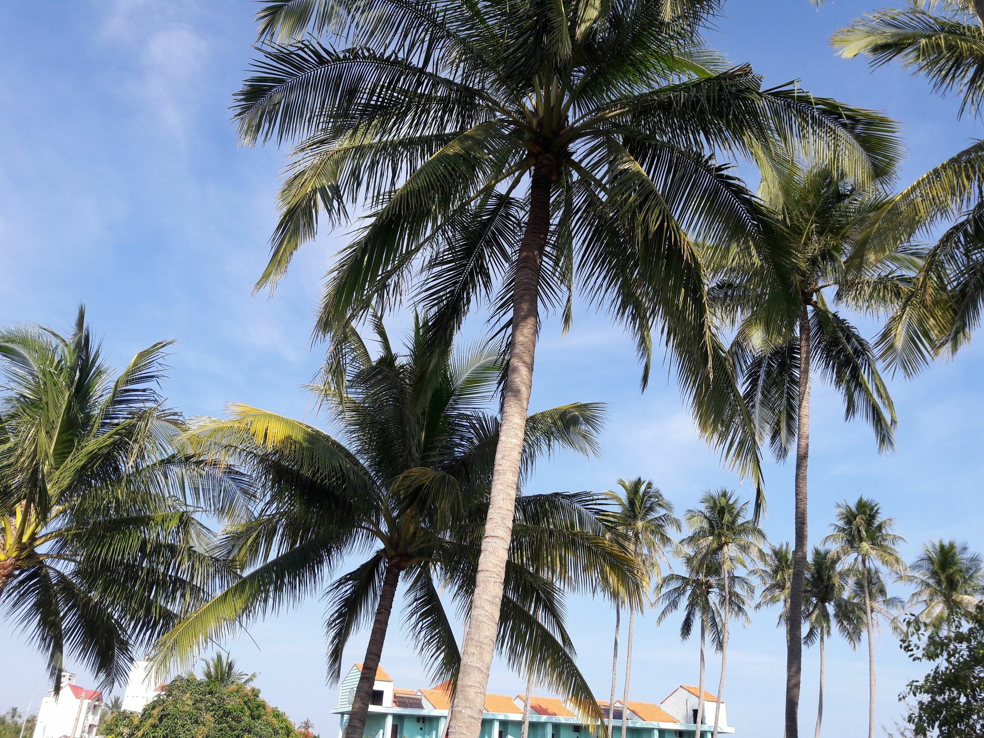 Bien Dua Backpacker Hotel Phan Thiet Kültér fotó