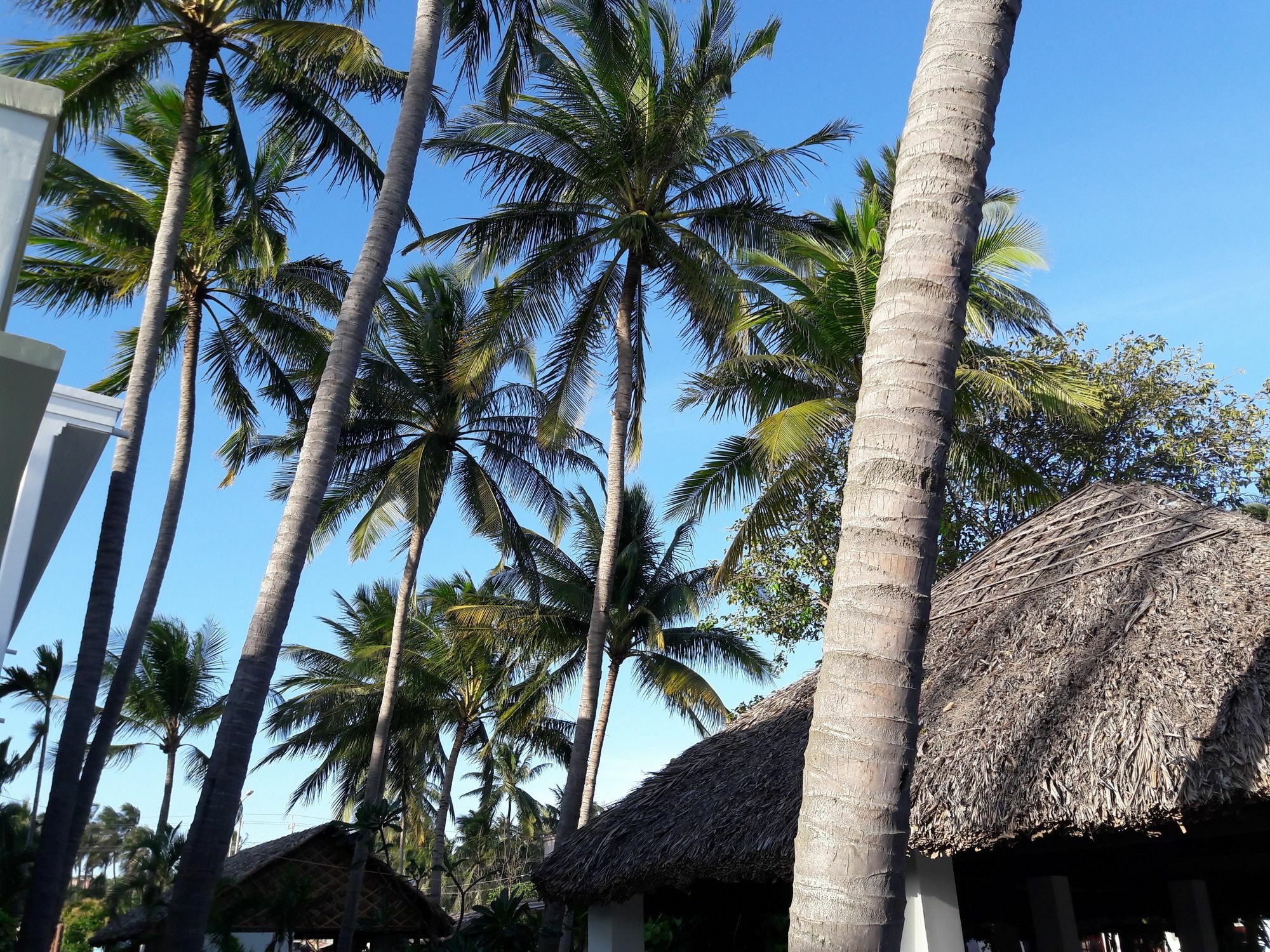 Bien Dua Backpacker Hotel Phan Thiet Kültér fotó