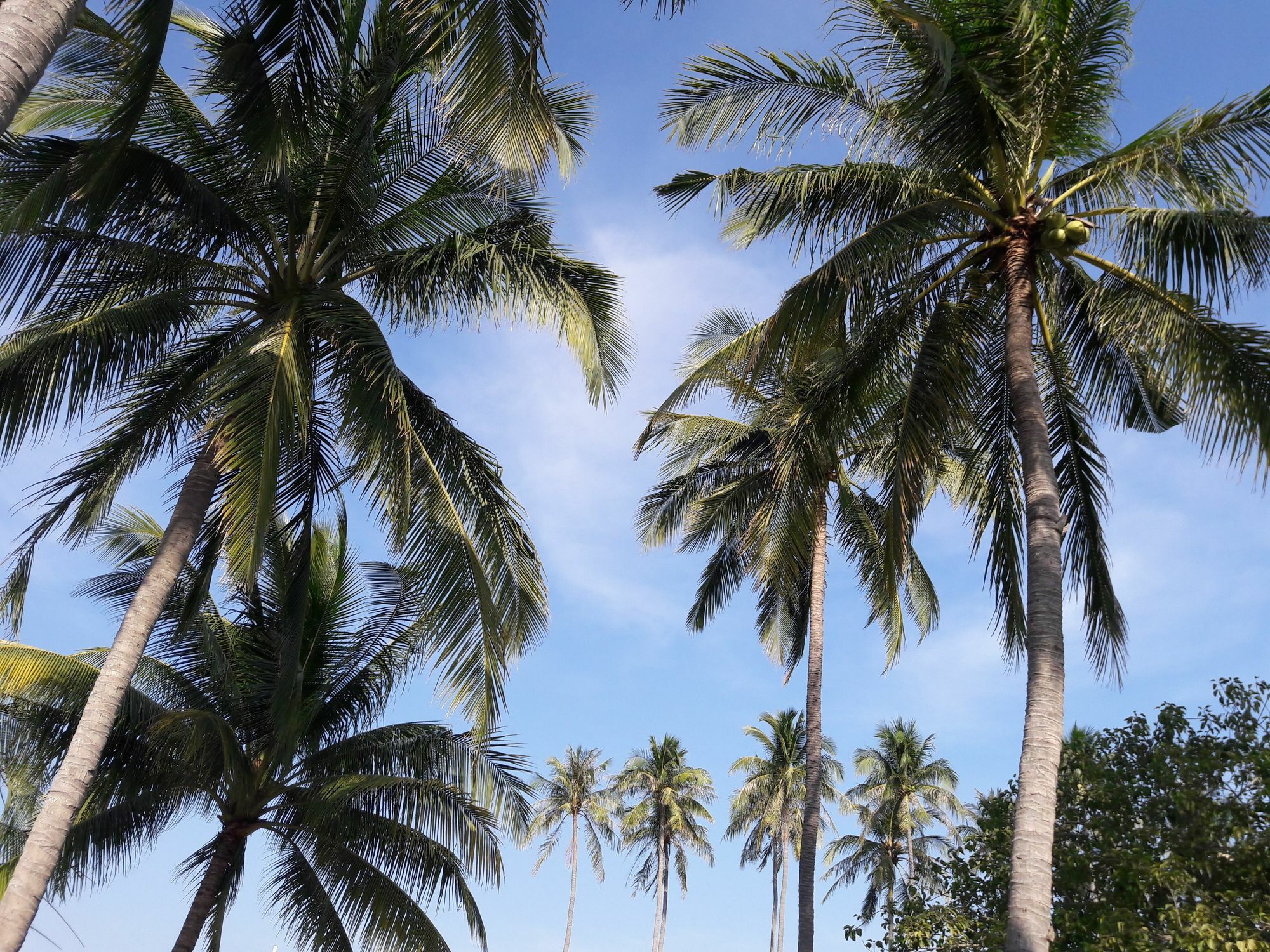 Bien Dua Backpacker Hotel Phan Thiet Kültér fotó