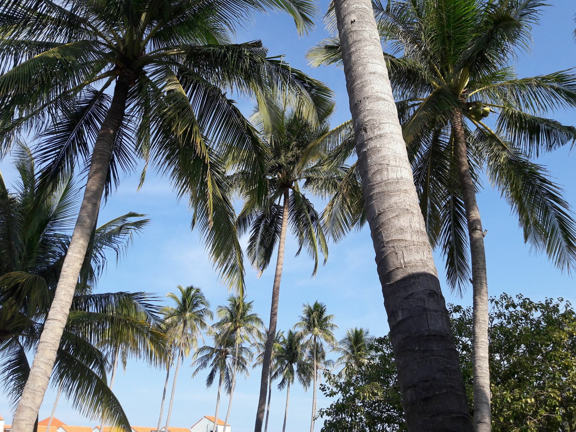 Bien Dua Backpacker Hotel Phan Thiet Kültér fotó